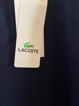 Camiseta lacoste (Rebajado)