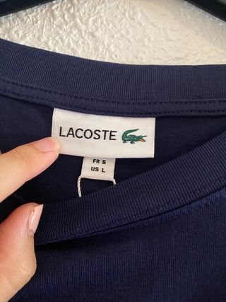 Camiseta lacoste (Rebajado)