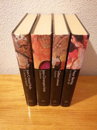 LOTE LIBROS NOVELA HISTÓRICA