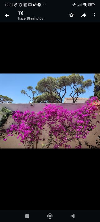 Chalé El Alcor Punta Umbría