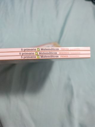 Libros de matemáticas Nuevo más savia 5°