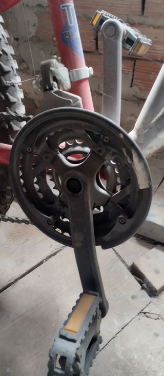 la bicicleta de las fotos