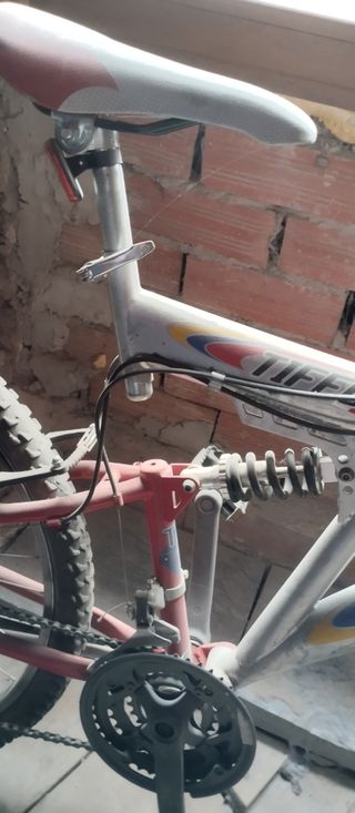 la bicicleta de las fotos