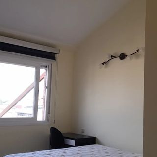 PINTORES ECONÓMICOS