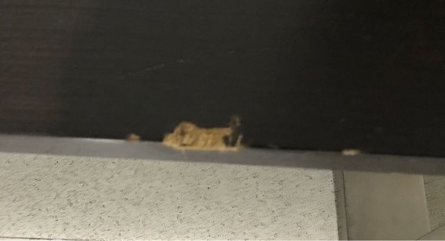 Tavolo Vengue design e acciaio