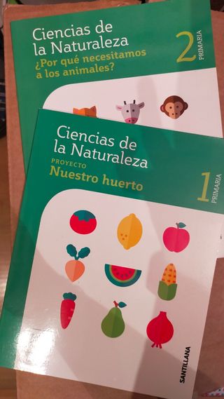 2 libros primero y segundo primaria.