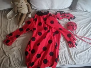 disfraz lady bug de 8 A10 años