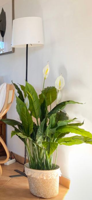 Ideal para tu rinconcito favorito