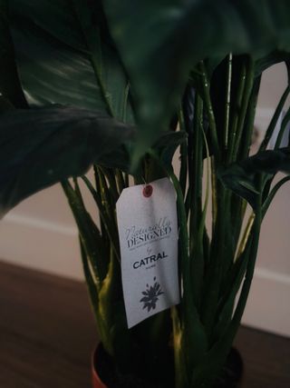 Ideal para tu rinconcito favorito