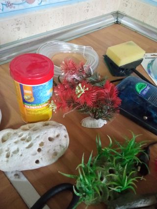 lote acuario peses pecera