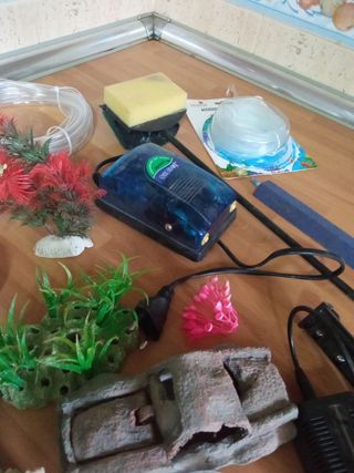 lote acuario peses pecera