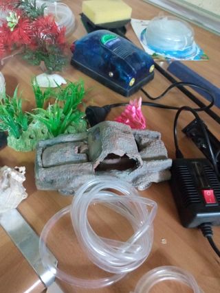 lote acuario peses pecera