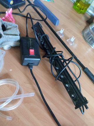 lote acuario peses pecera