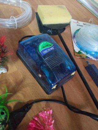 lote acuario peses pecera