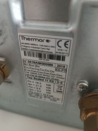 Termo de gas estanco 11litros