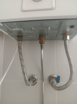 Termo de gas estanco 11litros