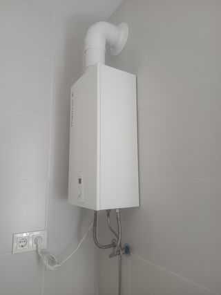 Termo de gas estanco 11litros