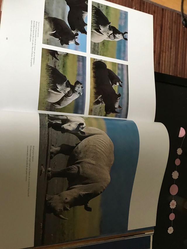 El Arca Salvaje_ Christine y Michael Denis_Huot