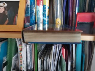 Octavo viaje al Reino de la fantasia