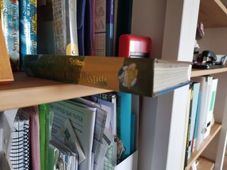 Octavo viaje al Reino de la fantasia