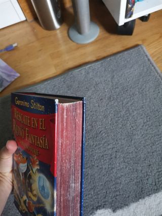 Rescate en el Reino de la fantasia