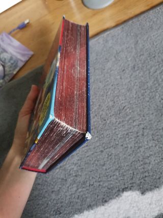 Rescate en el Reino de la fantasia