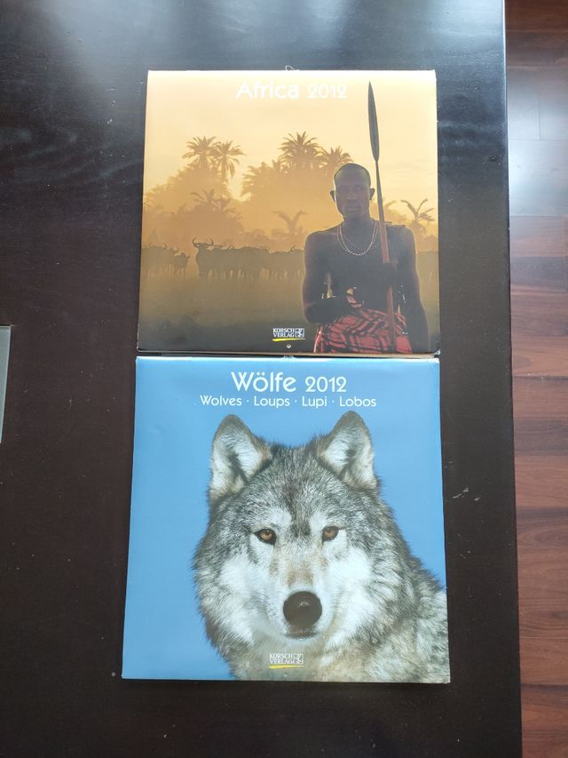 CALENDARIOS AFRICA Y LOBO