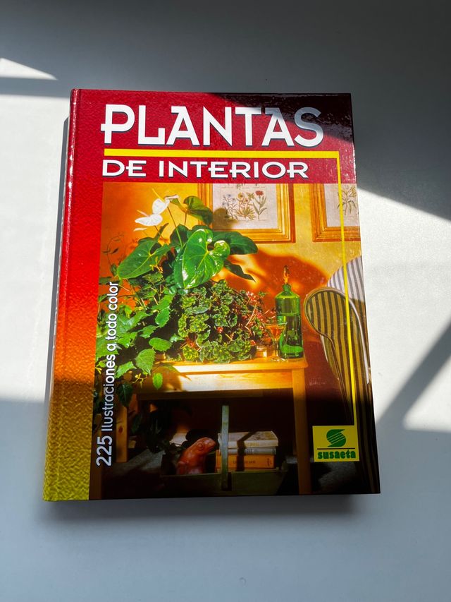 Plantas de interior