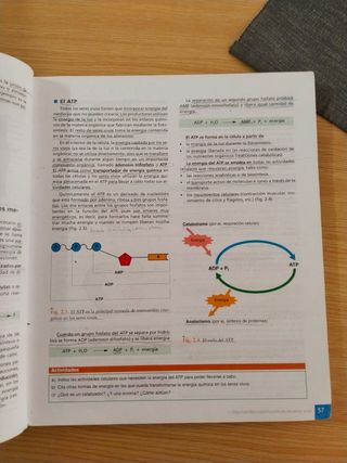 Libro Biología y geología 1 de bachillerato