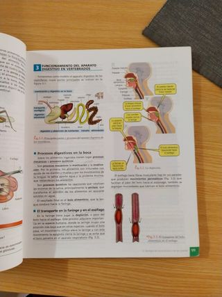 Libro Biología y geología 1 de bachillerato