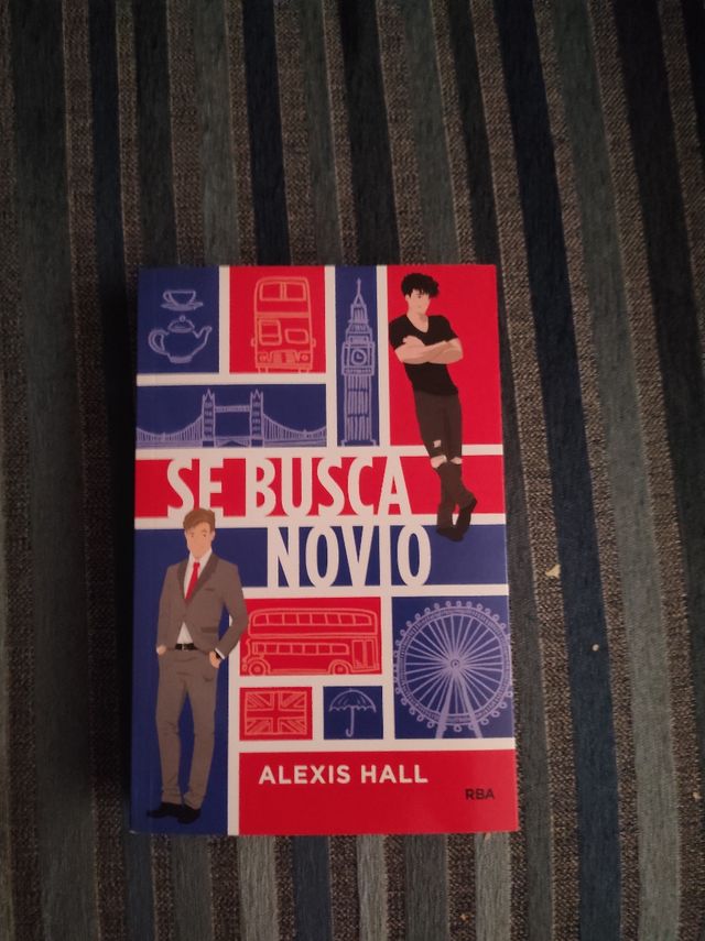 Libro: Se busca novio