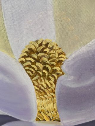 Magnolia. Cuadro al óleo