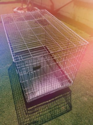 Jaula exposiciones plegable con ruedas