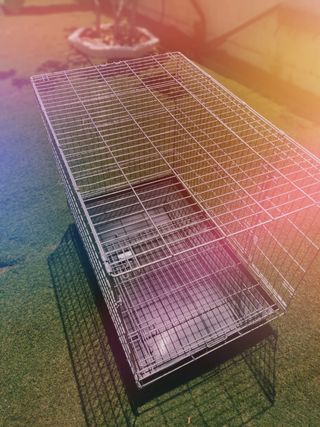 Jaula exposiciones plegable con ruedas