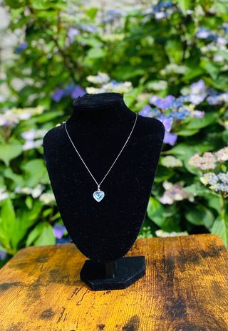 Colgante collar plata primera ley