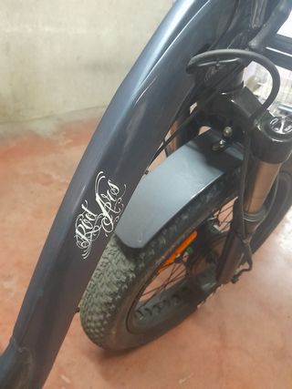 bicicleta 3 ruedas electrica, triciclo, Invictus