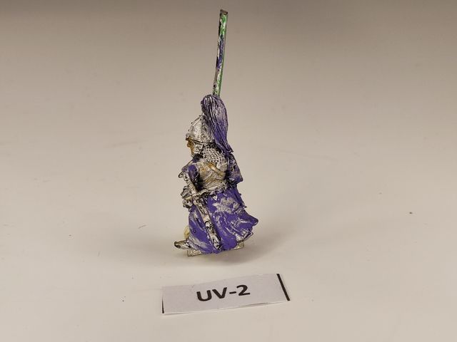 UV-2 Standard Bearer Grave Guard undead vampire