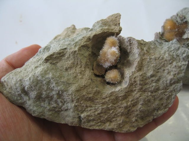 Minerales raros. En cajas 5x5 cm.