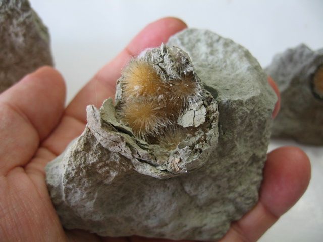 Minerales raros. En cajas 5x5 cm.