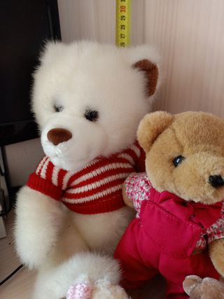 Ositos, peluches