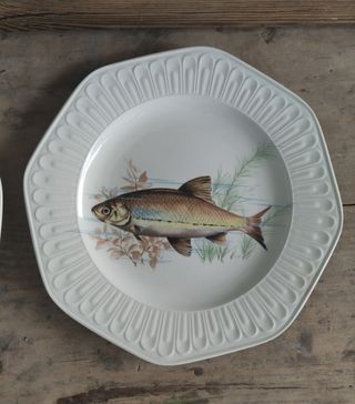 Conjunto fuentes Santa Clara pez