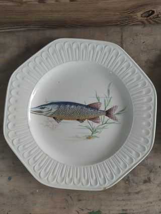 Conjunto fuentes Santa Clara pez