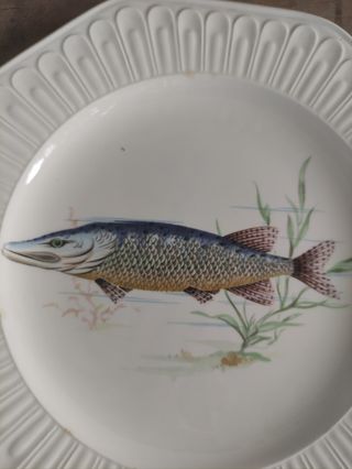 Conjunto fuentes Santa Clara pez