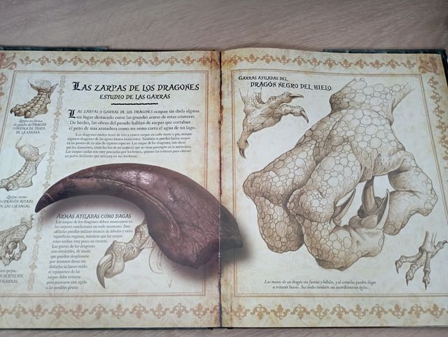 Libro los secretos de los dragones