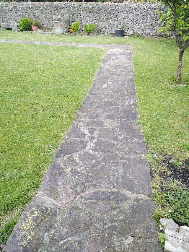 Gran jardín desbroce, poda de setos. pinos...