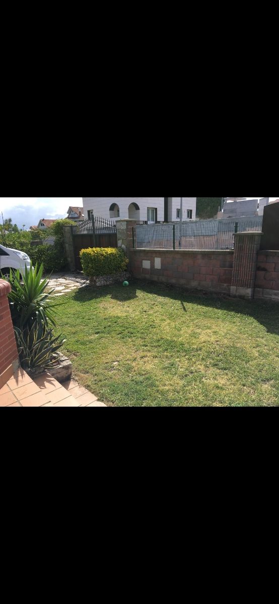 Gran jardín desbroce, poda de setos. pinos...