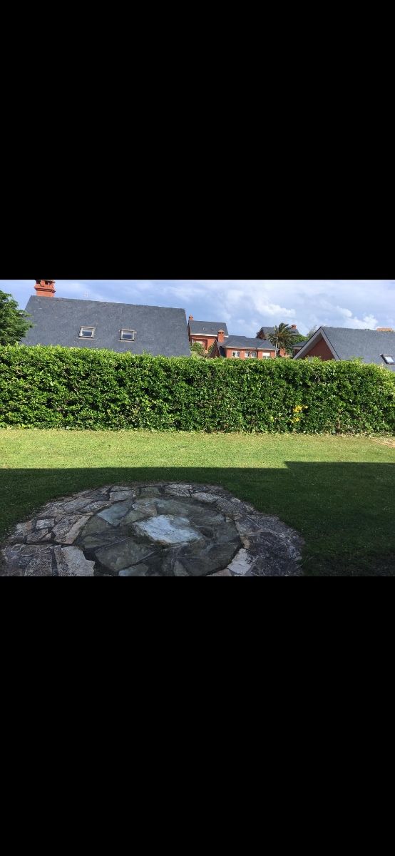 Gran jardín desbroce, poda de setos. pinos...