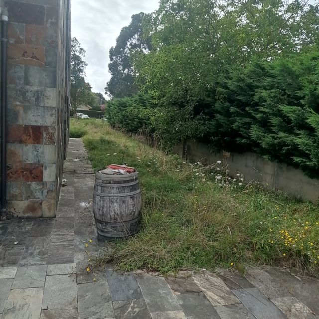 Gran jardín desbroce, poda de setos. pinos...