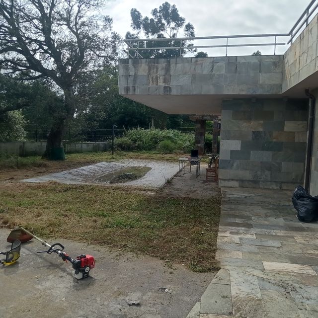 Gran jardín desbroce, poda de setos. pinos...