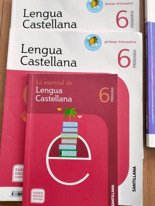 libros de 6°primaria